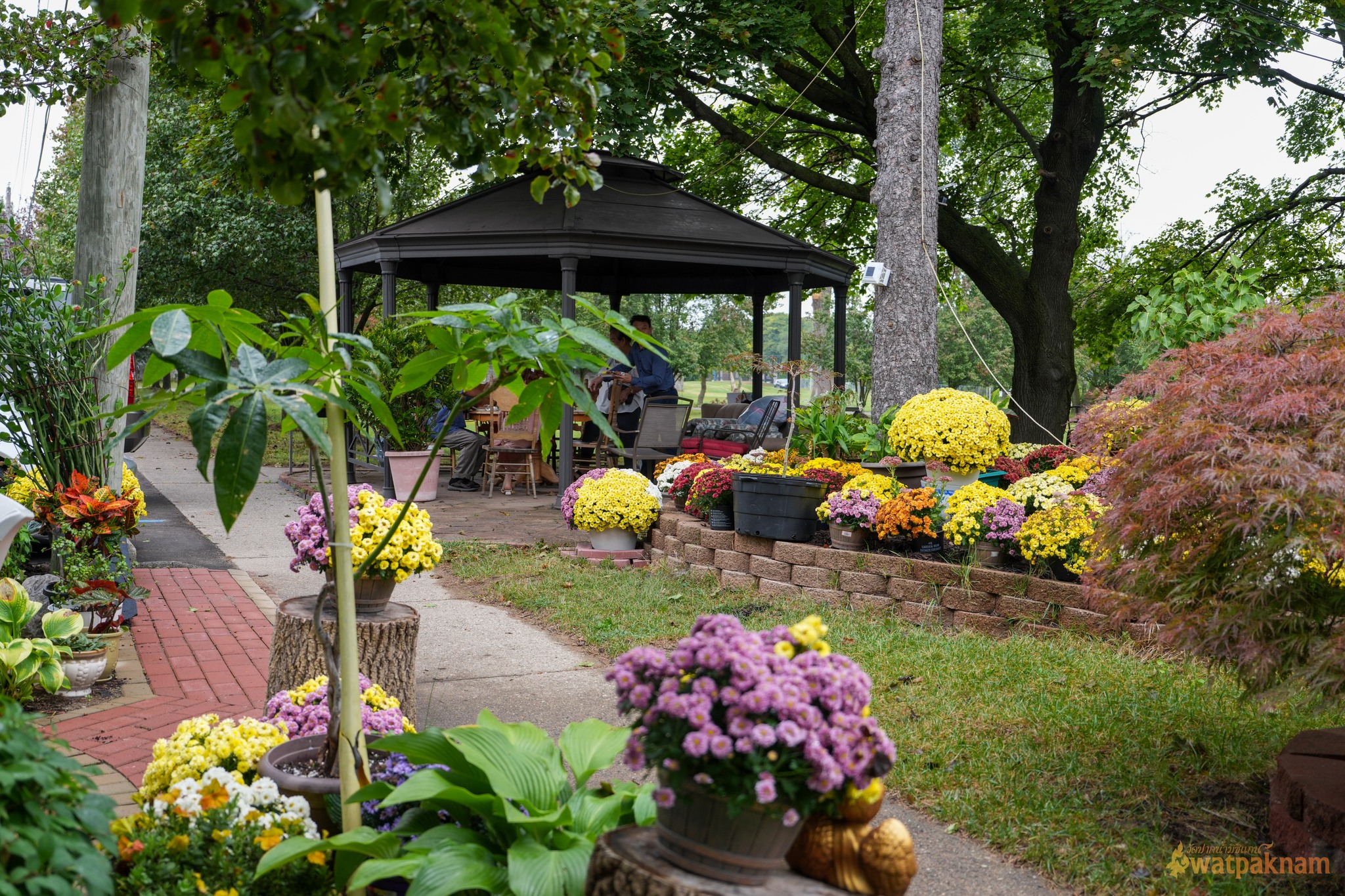 Wat Paknam Micchigan Garden BMC Front Garden